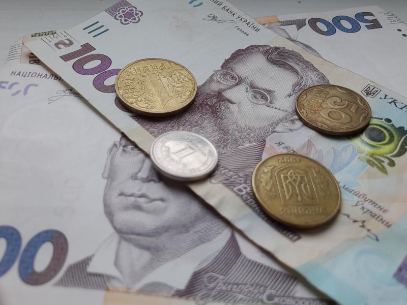 Фінансова підтримка у Вінницькій області: хто має право на отримання виплат до 60 000 гривень від місцевих органів влади.