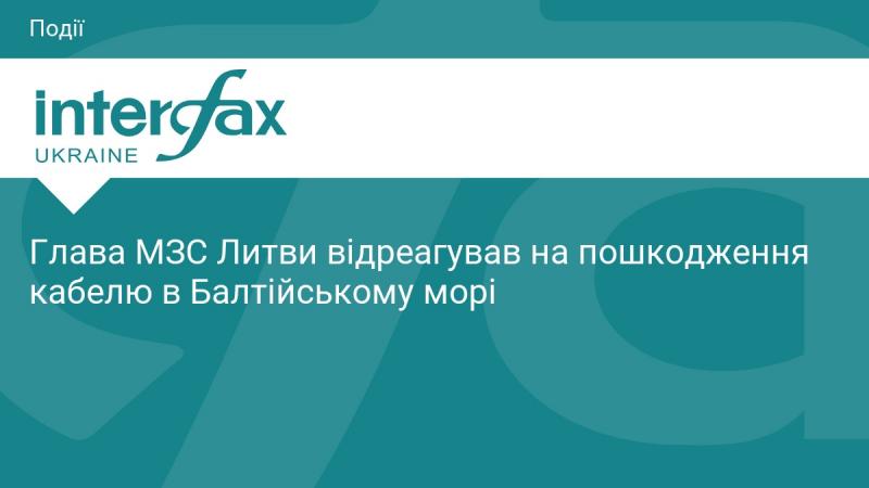 Міністр закордонних справ Литви висловив свою реакцію на пошкодження підводного кабелю в Балтійському морі.