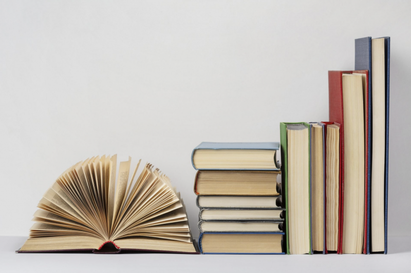 Після того як онлайн-магазин, що спеціалізувався на російських книгах, було закрито, його засновники запустили новий веб-сайт.