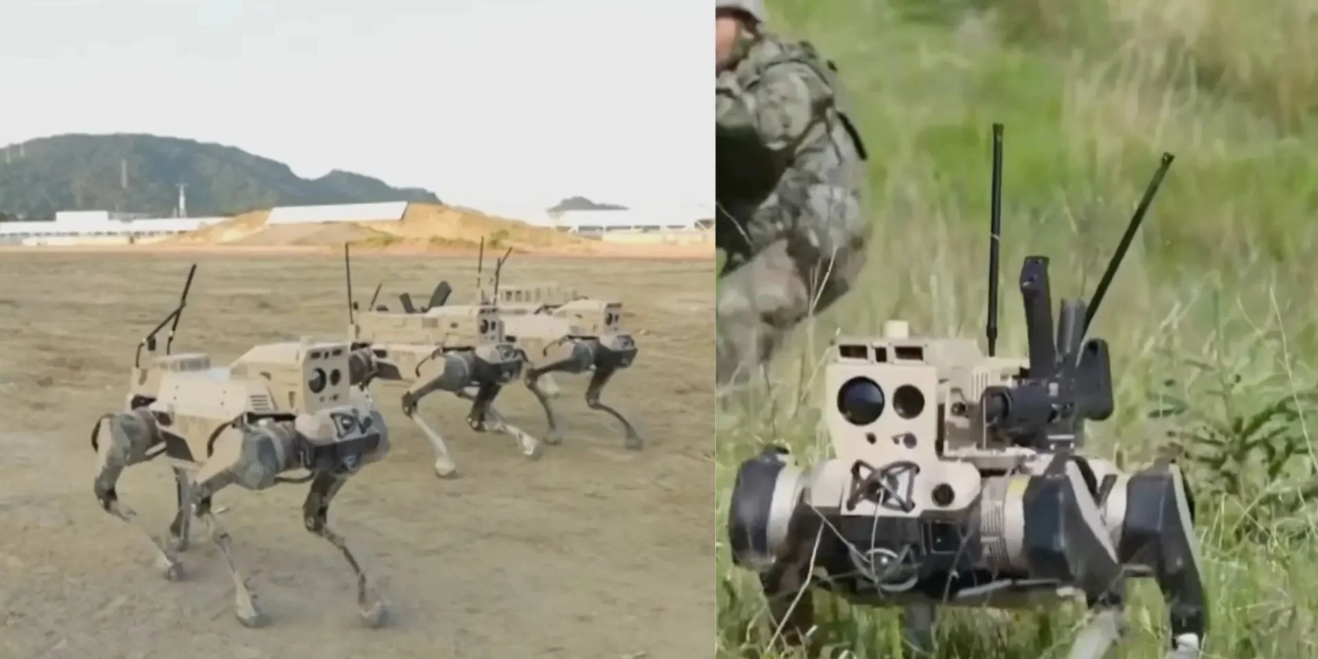 Знищують цілі всього за 10 секунд. У Китаї застосували роботизованих вовків під час навчань, що відтворюють десантування на Тайвань.