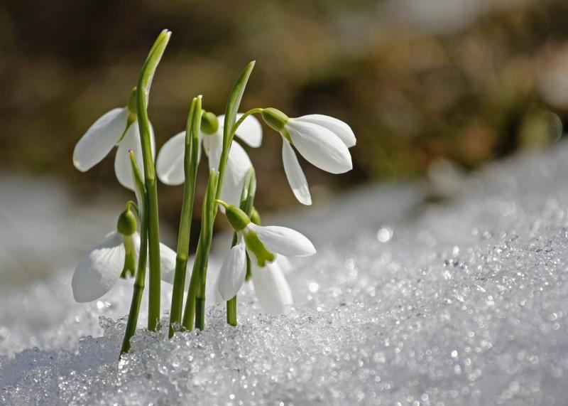 Святкування 19 березня 2026 року: цікаві факти, важливі події та обмеження.