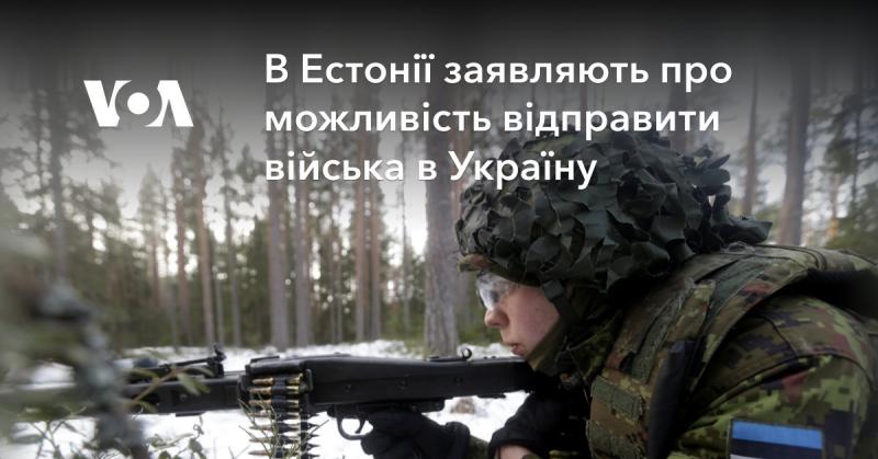 В Естонії висловили намір про можливість направлення військових до України.