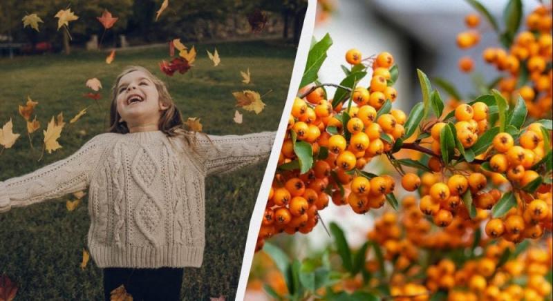 Що варто уникати жінкам: традиції на 6 листопада 2025 року та прикмети для залучення удачі.