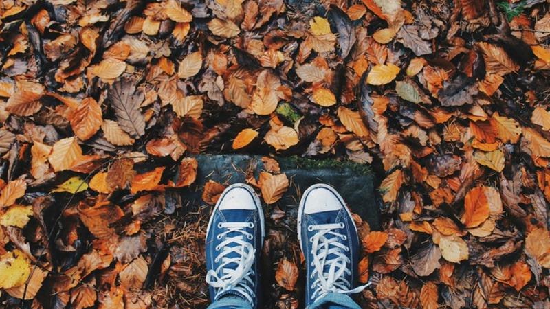 6 листопада: Яке свято відзначається сьогодні, всі деталі про цей день