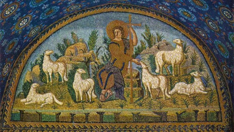 Віра в Церкву (44): Спільнота, за яку піклується Добрий Пастир - Vatican News