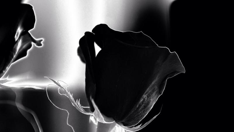 На Національному військовому меморіальному кладовищі вшанували пам'ять воєнного розвідника, майора Чубашева, віддавши йому останю шану.