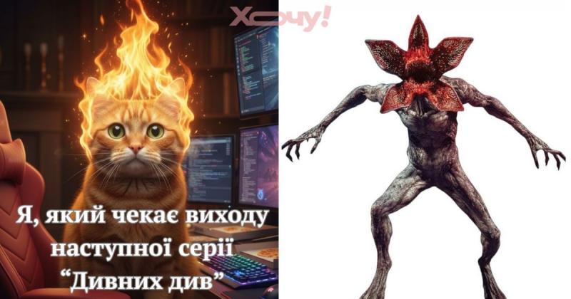 Демоґорґон проти Дімагордона: найкумедніші меми з легендарного шоу 