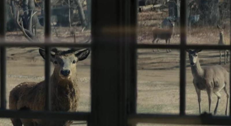 Опубліковано перший тизер нового таємничого фільму Стівена Спілберга.