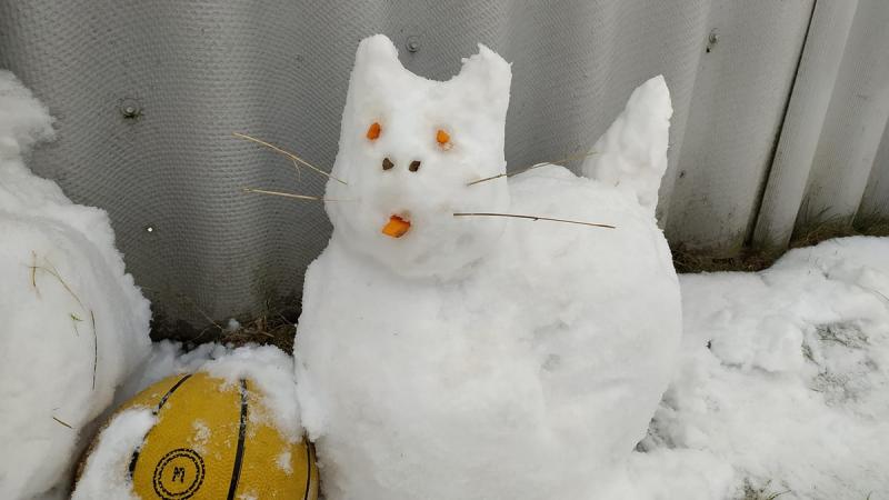 2 січня: Яке свято відзначається сьогодні, всі деталі про цей день.