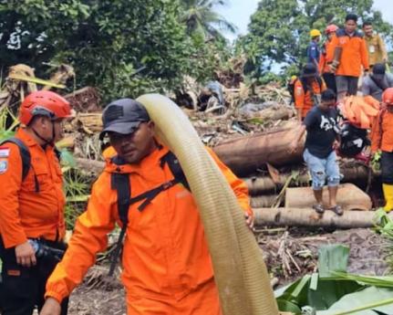Через несподівані повені в Індонезії сталося руйнування будинків, внаслідок чого загинули 16 осіб.