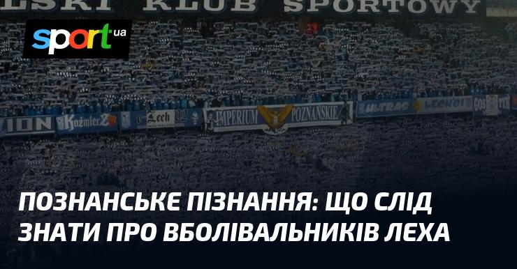 Пізнання Познані: важливі аспекти для розуміння фанатів Леха