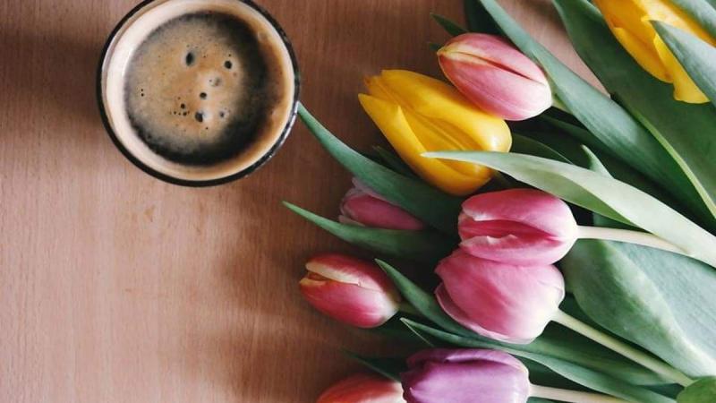 25 квітня: Що святкуємо сьогодні, усі деталі про цей день