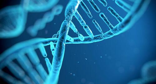 25 квітня: що сьогодні відзначаємо, народні прикмети, звичаї та обмеження цього дня.